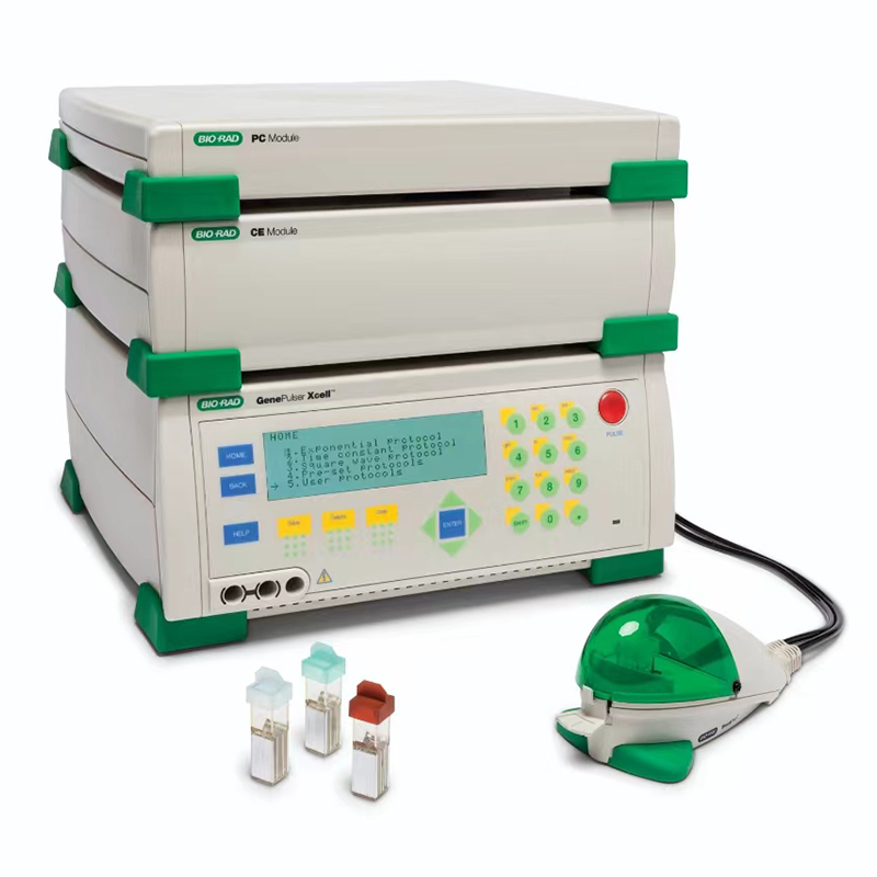 ���� 늴���