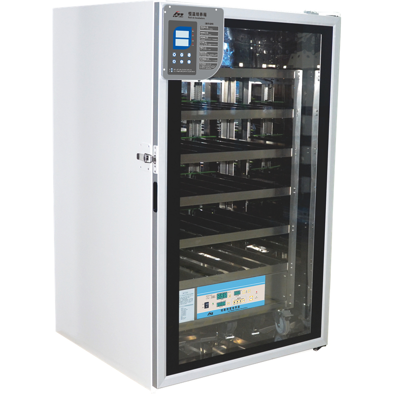 ���� ������B��