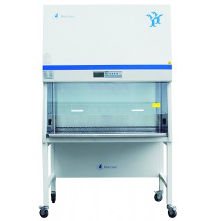 ���� ��ȫ��