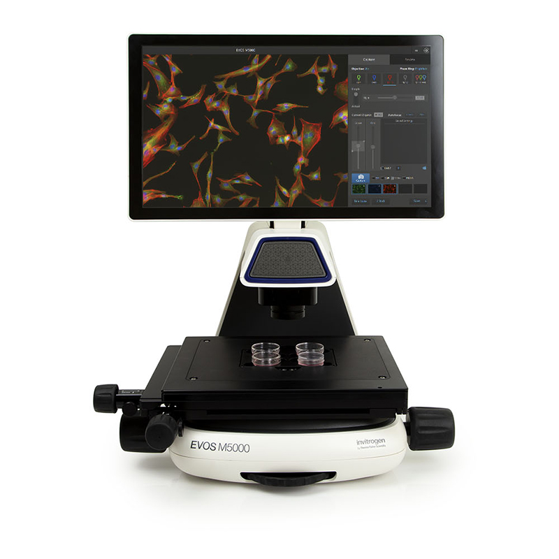 ِĬ�w  ����ɹ����ϵ�y